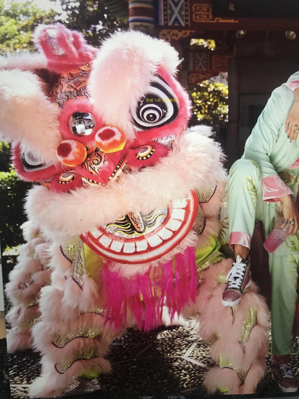 鹤桩醒狮鹤装狮舞狮羊毛醒狮道具竞技醒狮鹤山装醒狮澳洲羊毛 鹤桩浅