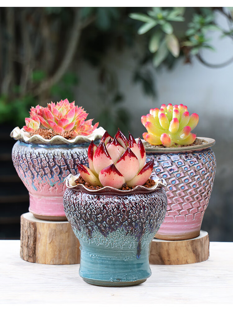 苓芊景德镇陶瓷手工粗陶盆小高桩法师盆群生拼盘多肉花盆花器花卉盆栽