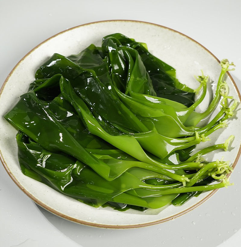 霞浦海带苗嫩特级嫩苗小海带苗嫩芽野生裙带菜火锅食材凉拌海白菜