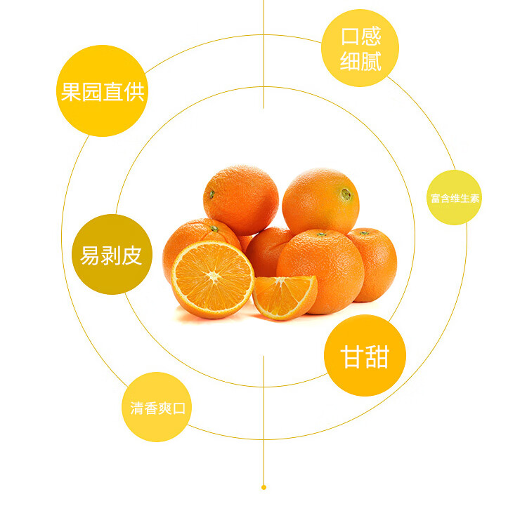 四川爱媛38号果冻橙 柑橘手剥橙桔子现采现发 中果8斤（带箱） 花皮果