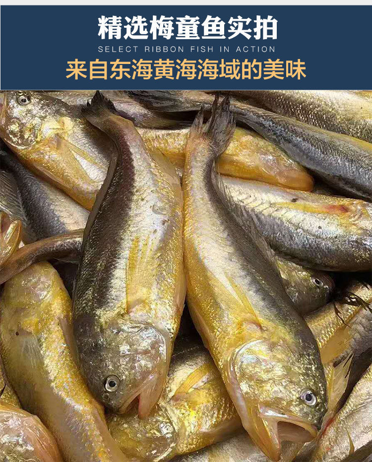 碧潯澤畔旗艦店梅童魚野生海捕梅子魚沙中魚大頭寶東海黃海黃梅丁海鮮