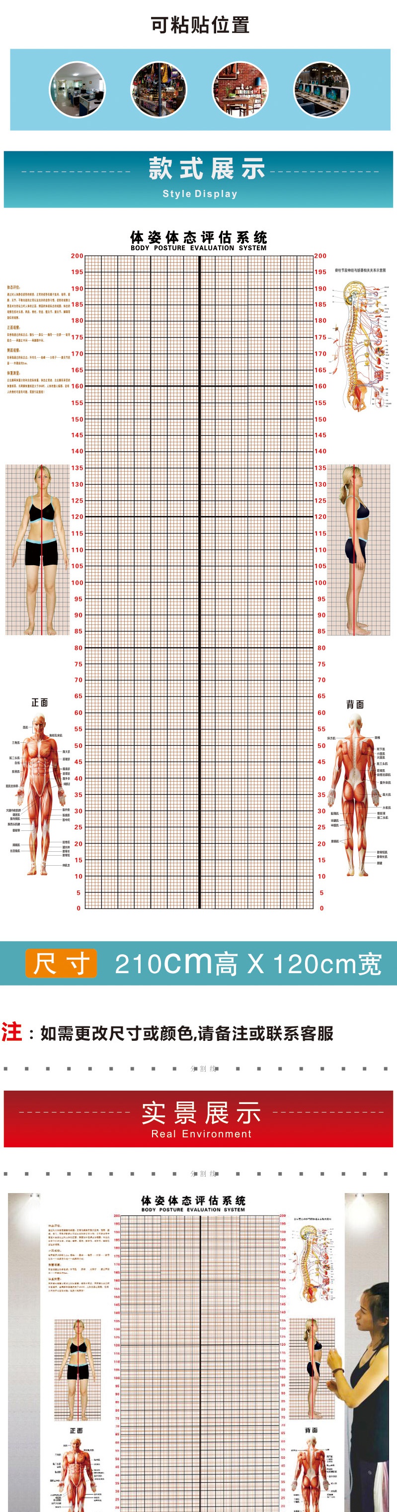 小米mi小米生态同款体态评估网格图体态评估表墙贴健身房体测网格纸