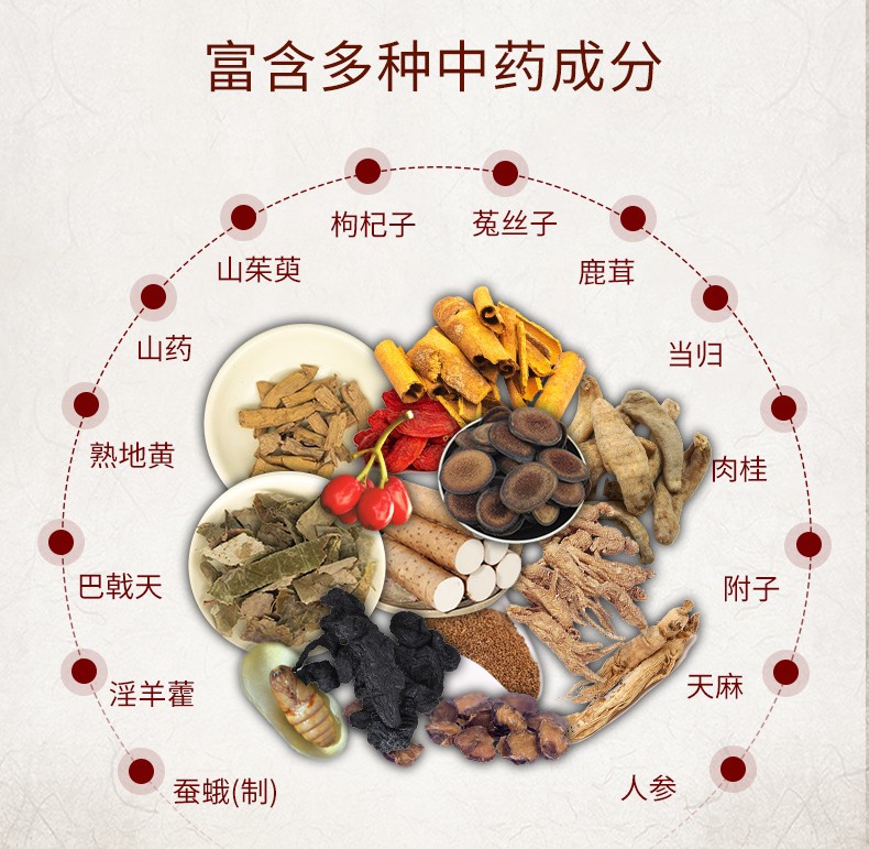 horae克旨达蚕茸柱天胶囊04g24粒温补肾阳填补精血用于阳痿不举久病体