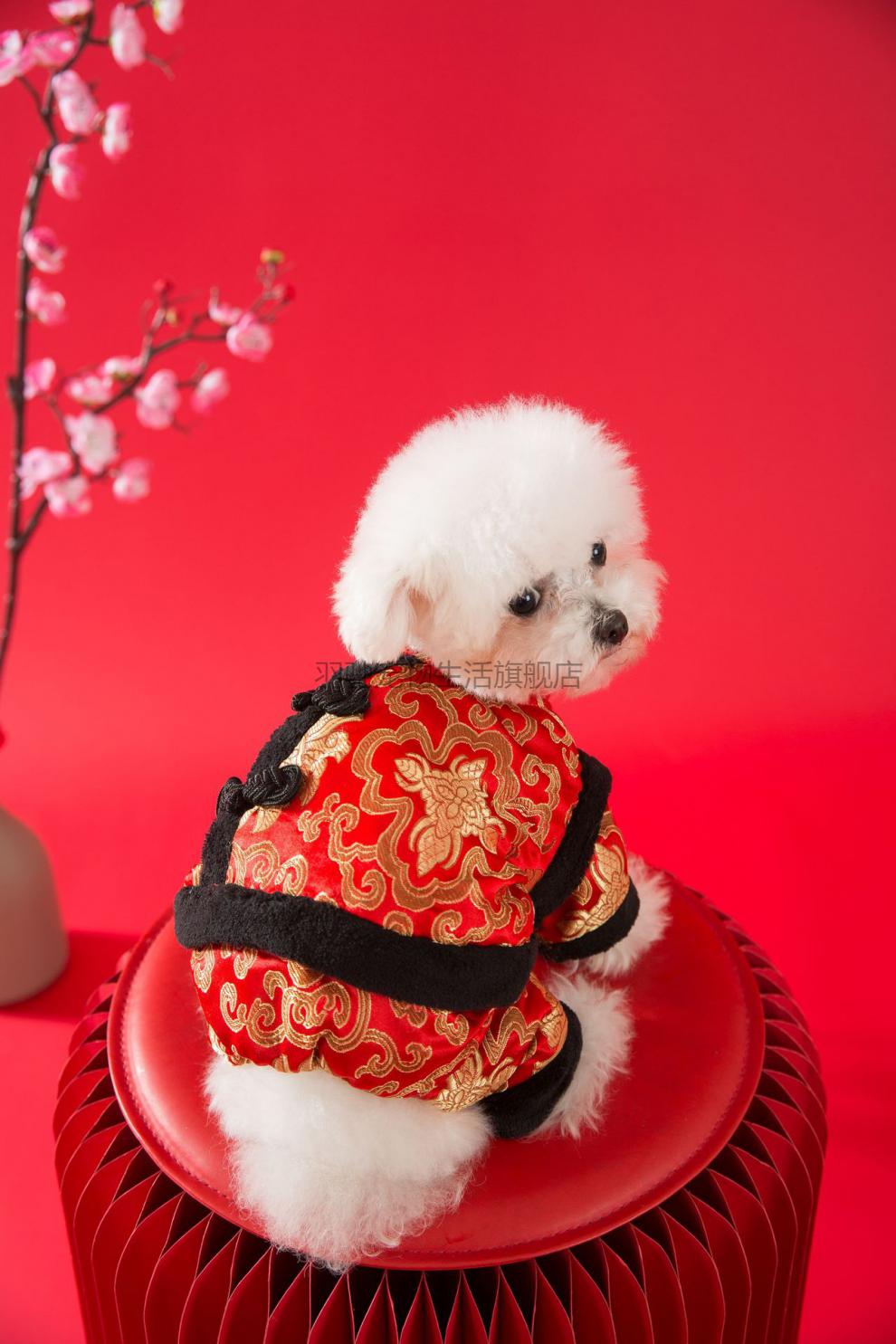 泰迪狗过年衣服冬天红色喜庆四脚棉衣冬季保暖宠物比熊博美唐装红色