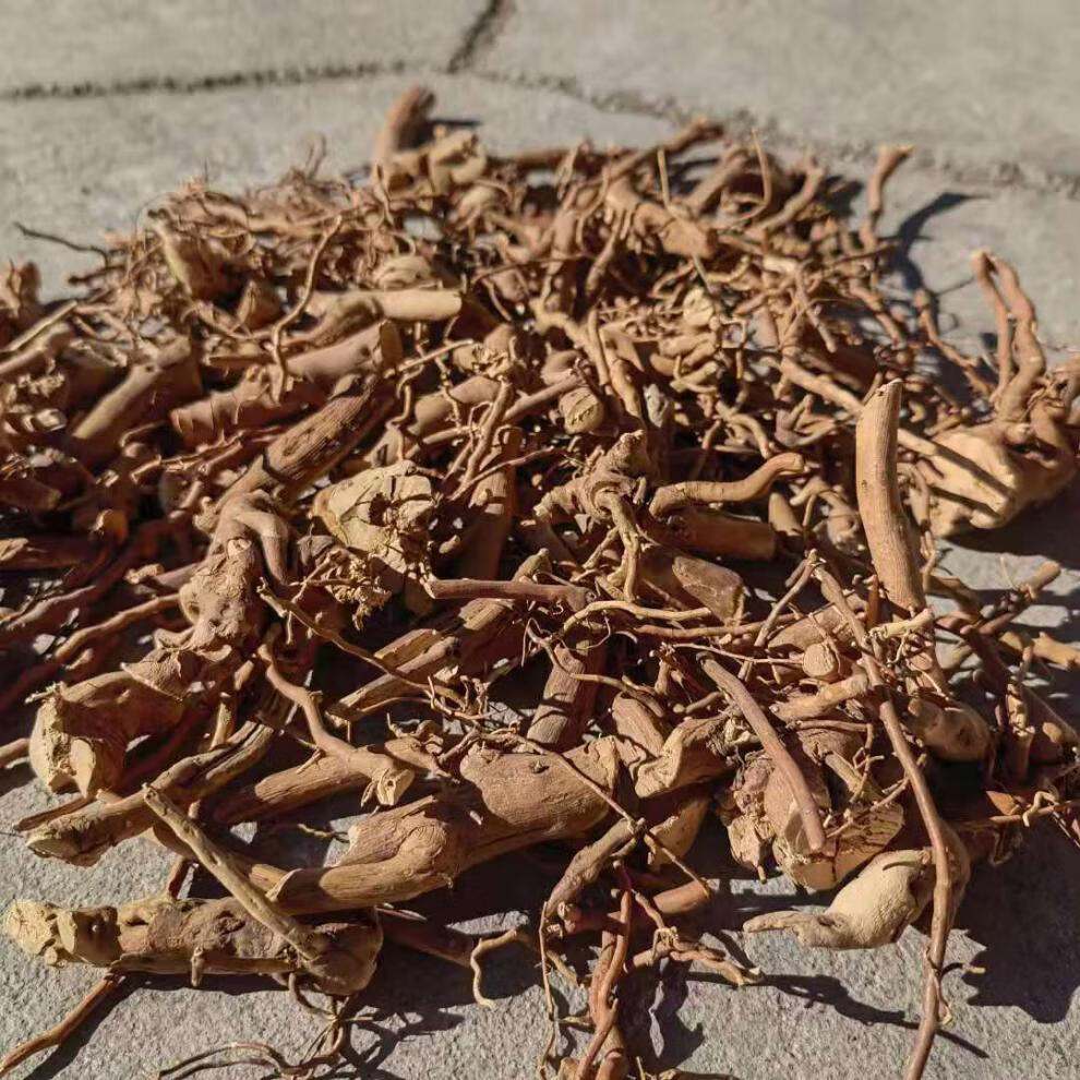 托莫根大兴安岭野生脱膜根托摩根茶泡水天然饮品250克1袋250克托莫根