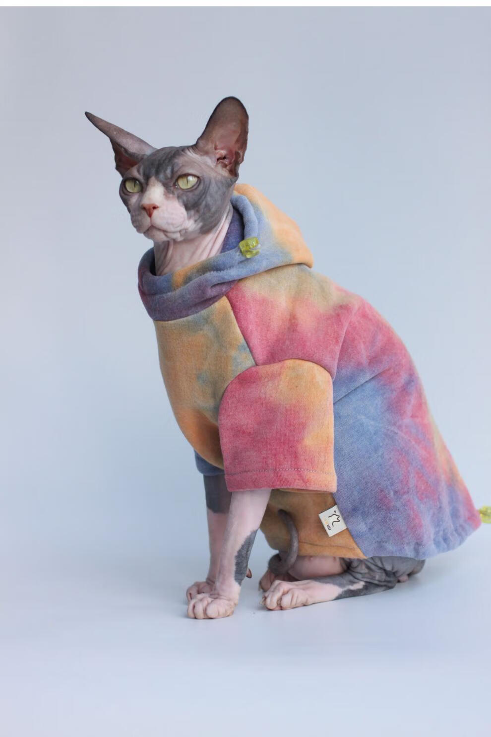 斯芬克斯无毛猫衣服斯芬克斯无毛猫衣服德文卷毛猫衣服宠物猫咪狗狗