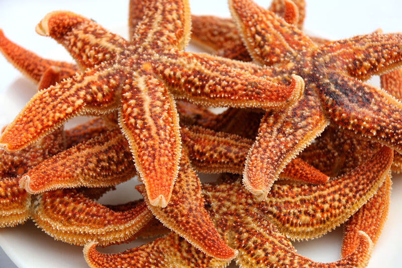 鲜少年海鲜水产海星大海星新鲜五角星海五星满籽熟冻即食海鲜一斤装
