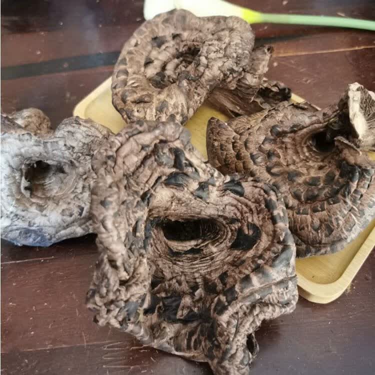 野生黑虎掌菌干货云南楚雄特产獐子菌食用蘑菇味道香50g250g新货 精选