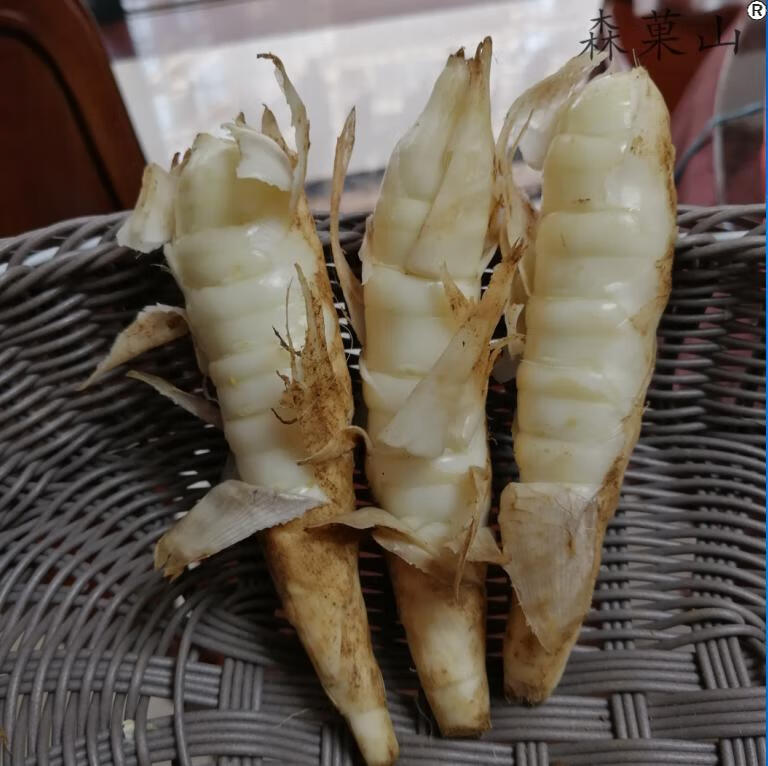 顺丰广东化州竹芋新鲜冬薯竹薯面薯化州特产农家绵薯冬芋火锅煲汤食材