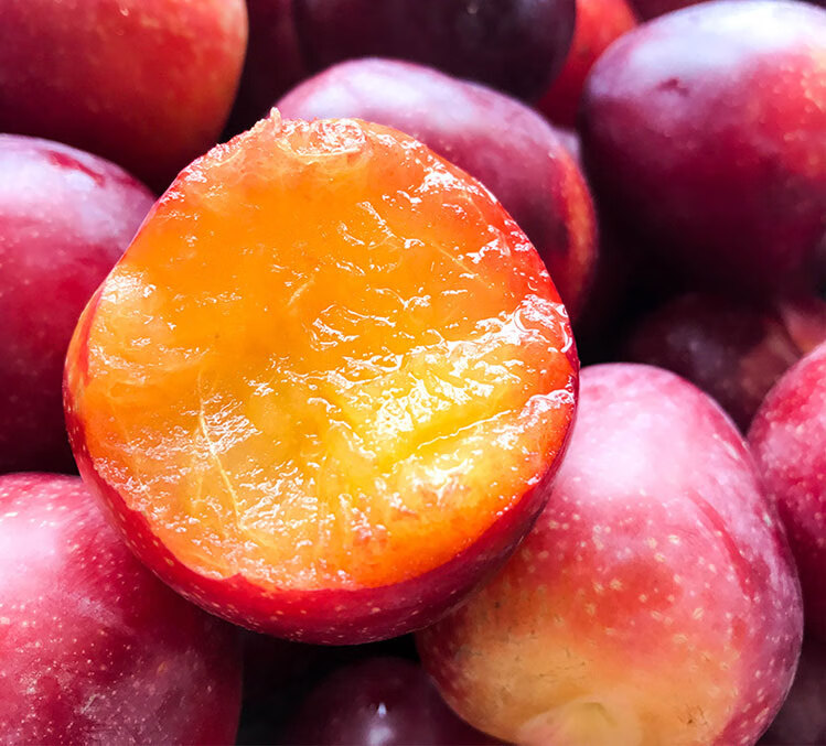 骄瑰 澳洲新鲜樱桃李礼盒装水果纯甜凤凰血丝李子原箱春节年货礼品 2