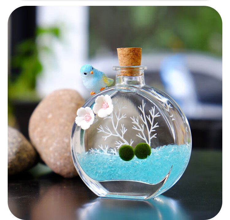 海藻球微景观球藻生态瓶水培植物室内香水瓶海洋精灵镊子小装饰