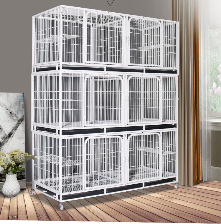 繁殖笼猫笼三层宠物店寄养笼多层狗笼子带隔断双层繁育猫舍子母笼