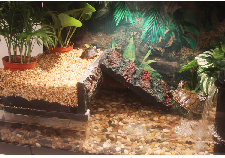 宝龙乌龟缸水陆缸水龟缸带晒台造景别墅生态鳄鱼缸沙漠雨林爬虫缸中号