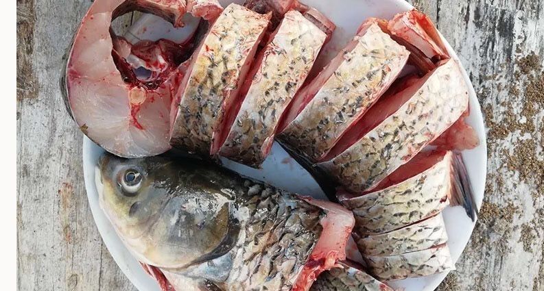 新鲜现杀草鱼块肉淡水鱼大草鱼活鱼现杀青鱼段橙臻鲜草鱼净重3斤切爆