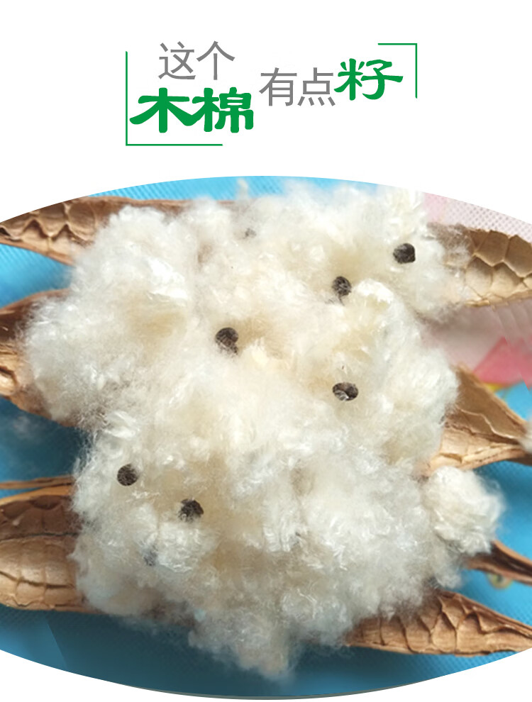 天然带籽木棉花枕头纯有籽木棉枕芯攀枝花子棉絮枕心填充物枕套天然