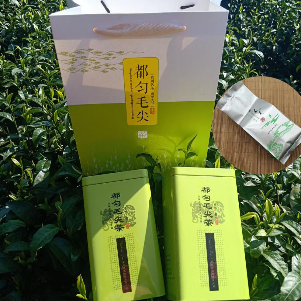 2022新茶春茶2022年新茶明前春茶手工茶叶贵州都匀毛尖高山云雾绿茶