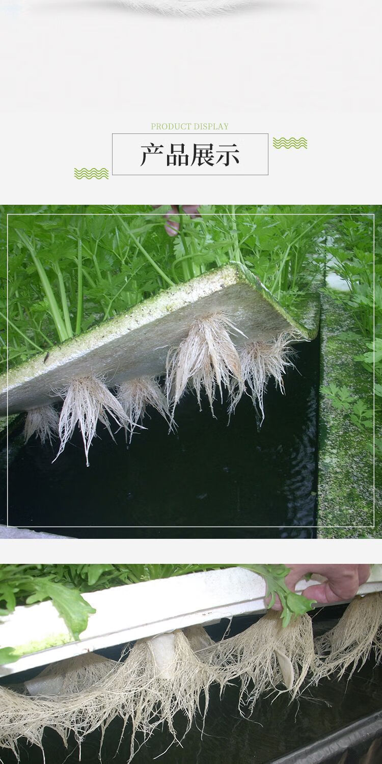 水上种植浮床漂浮板水培蔬菜定植板无土栽培设备水耕种菜带孔种植40号
