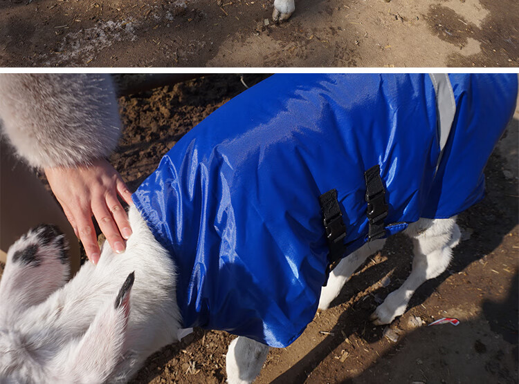 农资牛犊马甲小牛加厚防寒马甲牛犊子保暖防水棉衣养牛场犊牛保温衣服