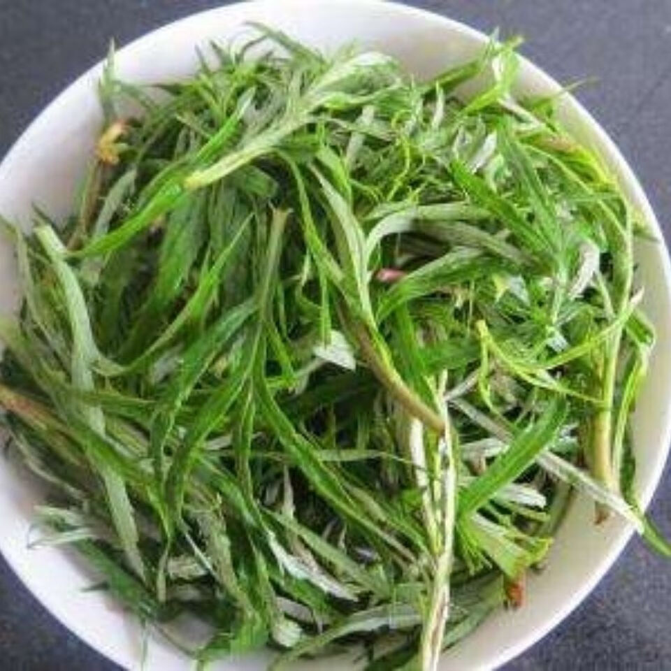 东北蘸酱菜新鲜采摘水烫速冻山野菜柳蒿芽非腌制冷冻保鲜无水发货 1斤