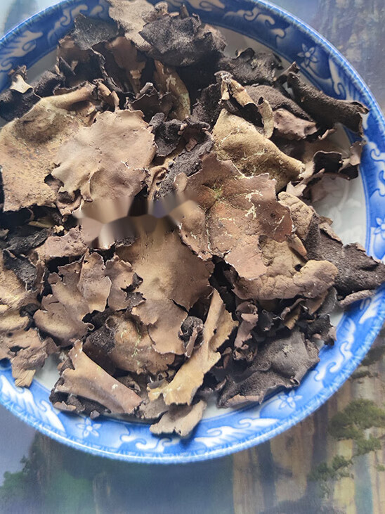 张家界野生岩耳 250g2 石耳自摘岩耳山货特产 至8公分菌干货石菇