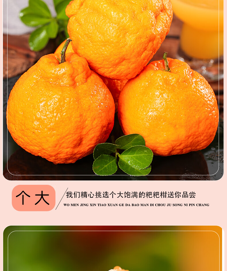 耙耙柑8斤四川春见杷杷柑大果粑粑干丑橘水果新鲜橘子5当季整箱105斤