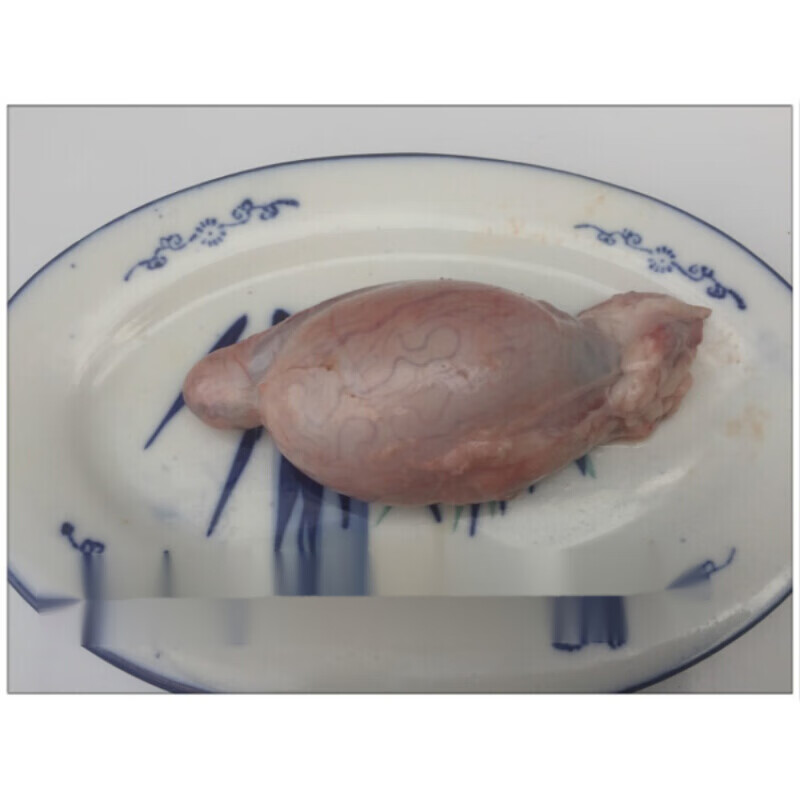 新鲜羊蛋生羊宝羊外腰白腰子羊球羊睾丸500克烧烤食材羊生殖器