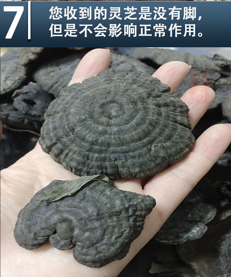 竺芝堂血灵芝皱盖假芝黑灵芝香深山采摘乌芝灵芝片泡茶煲汤泡酒料野生