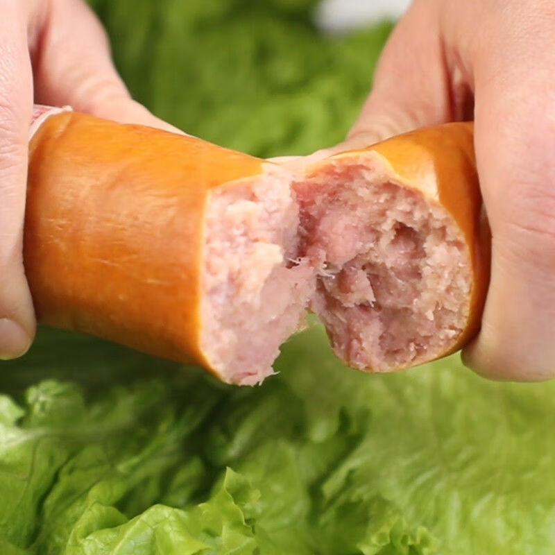 河北特产老味道手掰肠猪肉粉肠香肠烤肠肉灌肠熏肠保定烧饼真空 4斤手