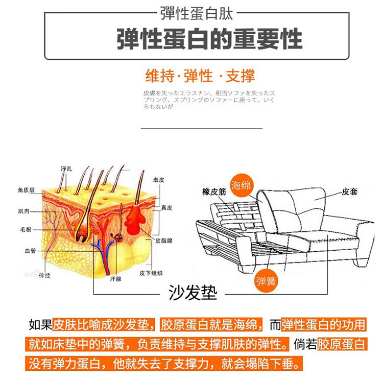 鲣鱼弹性蛋白肽粉鲣鱼胜肽鱼胶原蛋白肽搭档弹力蛋白肽粉水解500g100g