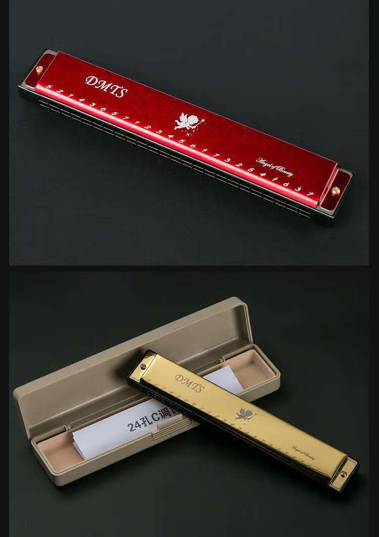 24孔复音口琴儿童成人初学c调比赛教学演奏自学初学24孔调音 红色