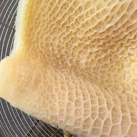 金钱肚新鲜冷冻牛蜂窝肚水发大块批发半成品火锅牛杂自助食材金钱肚1