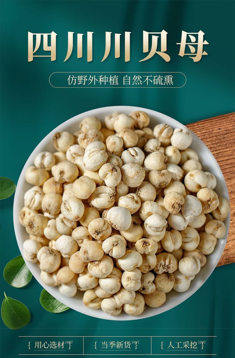 【特级无硫小川贝】川贝母尖贝母松贝仿野生种植 颗粒 无硫川贝母100