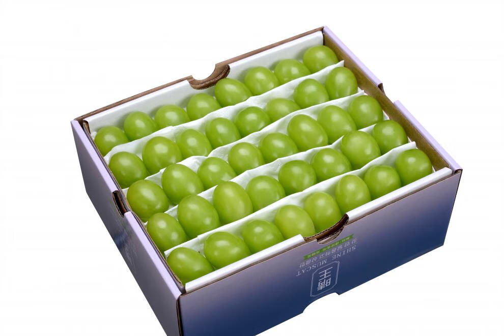 春光岛 韩国香印麝香葡萄阳光玫瑰葡萄特级晴王青提日本品种无籽礼盒