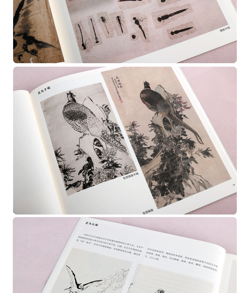 刘奎龄花鸟走兽画谱名家课徒稿临本绘画中国画技法书籍上海人民美术
