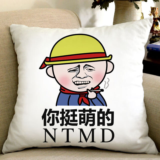 暴走漫画搞笑抱枕表情包个性文字靠枕恶搞馆长笑脸枕头来啊互相伤害啊