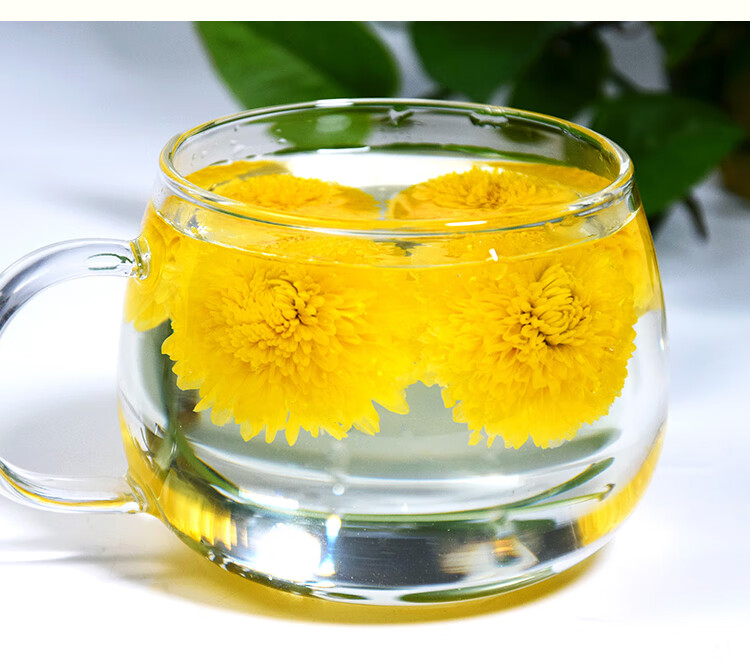 婺源徽州皇菊黄山贡菊黄菊新茶花草茶散装泡水非特级干菊花菊花茶