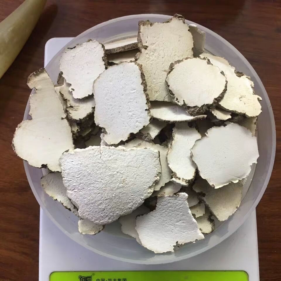 野虎奶虎奶菌虎奶菇虎乳菌儿童汤包250克切片虎奶赠海底椰半斤玉竹