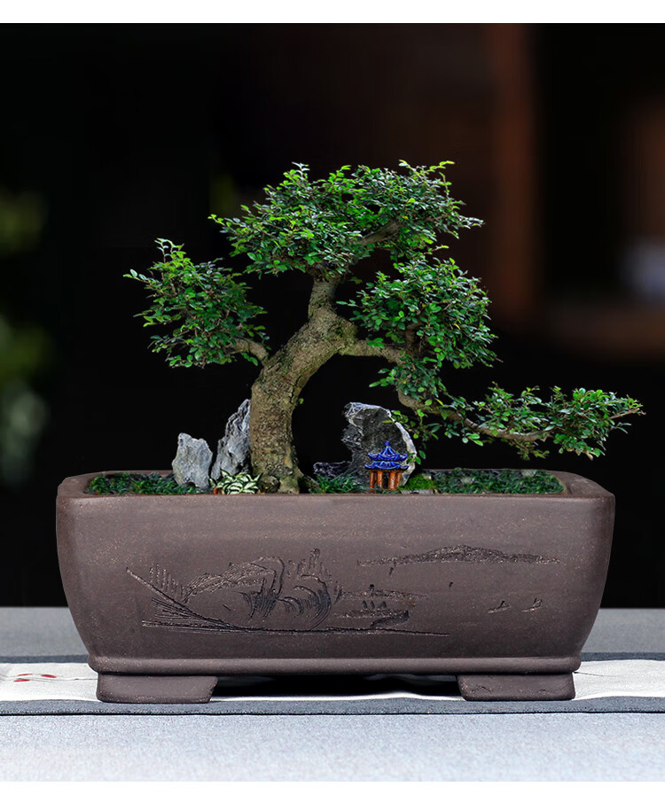 紫砂盆景花盆长方椭圆形特大小马槽兰草种菜多肉盆栽简约陶瓷 柠檬黄