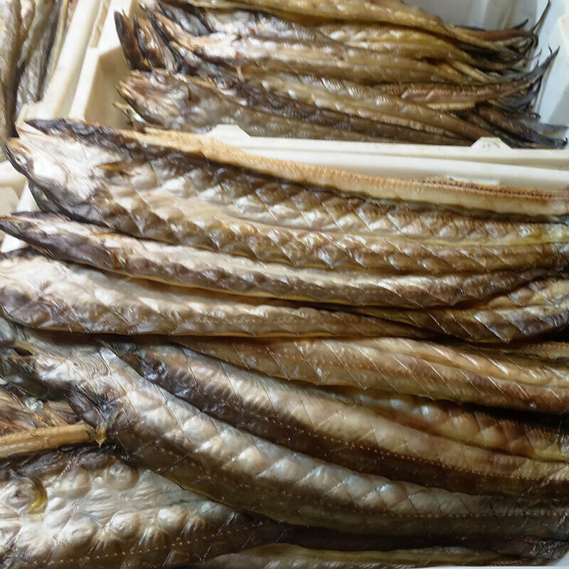 东海大沙鳗油鳗七星鳗星鳗海鳝鳗鲡无小鱼刺海鳗鱼500g【图片 价格