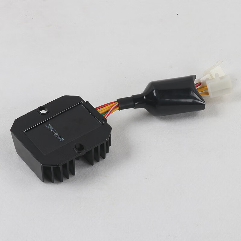润华年适用于升仕zt310xrvt摩托车整流器锂电池瓶专用充电器稳压器