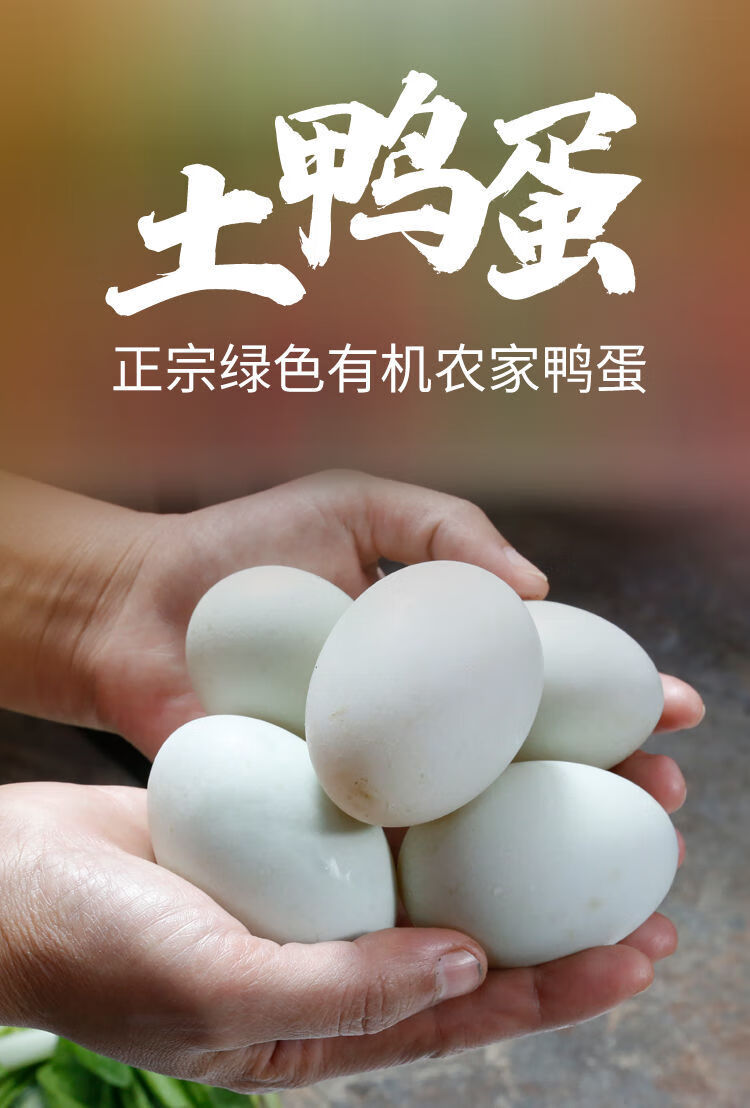 湖北新鲜土鸭蛋洪湖农家正宗散养绿壳新鲜鸭蛋鸭蛋青壳腾旺纳跃6o到7