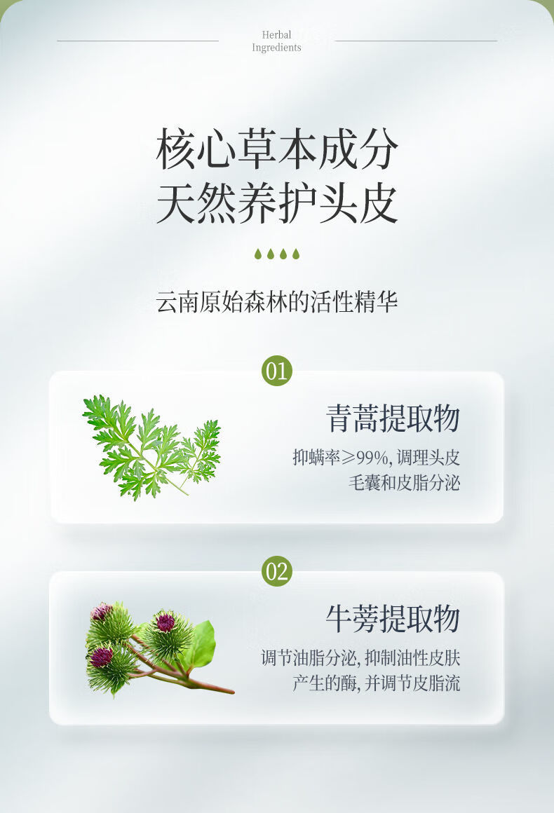 青蒿止痒养发洗发水 控油止痒洗发水除螨去油去屑清爽发丝洗发露膏男