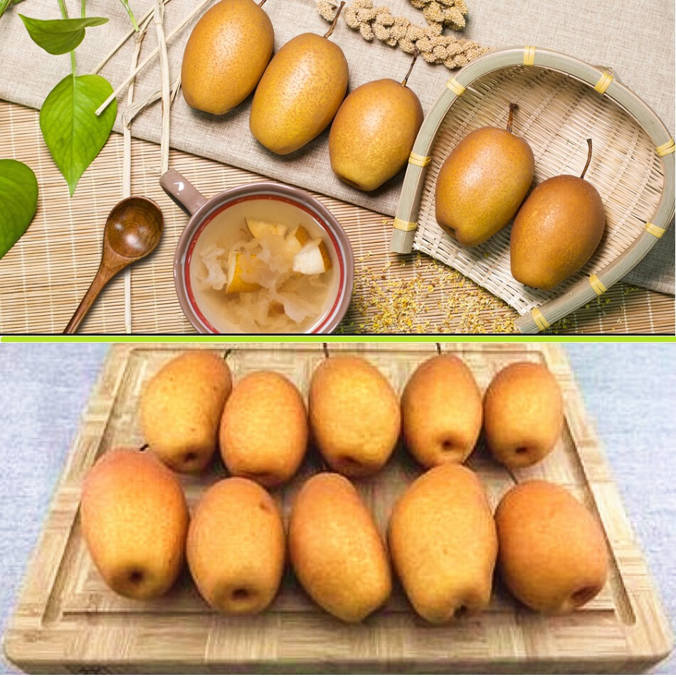 芬岚 洛阳金珠沙梨红梨子5斤新鲜野生现摘应季水果 9斤 大果【图片