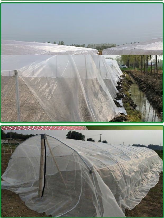 养猪场猪圈栏养殖场专用防蚊网大棚防虫网加厚防蚊纱窗纱网家用 60目