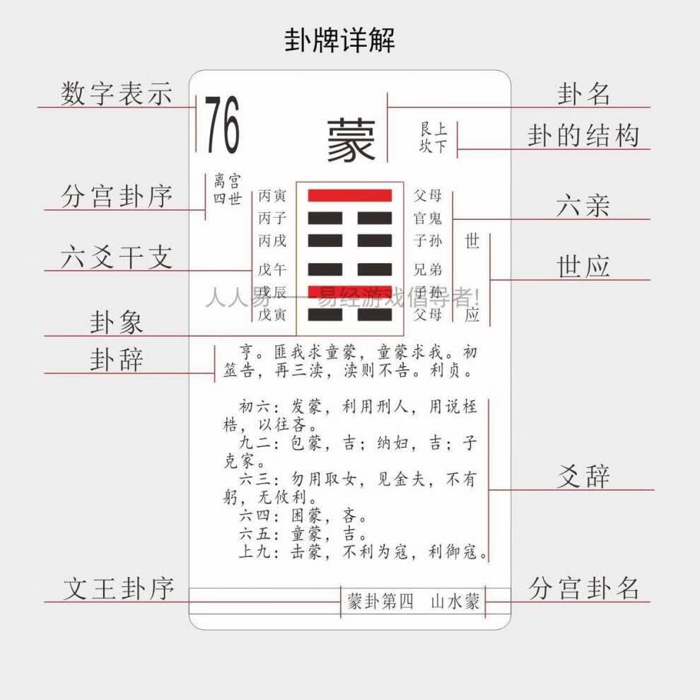 尼奥奈格六十四卦牌易经扑克牌含卦辞爻辞六爻卦象配铜钱方圆图 64卦