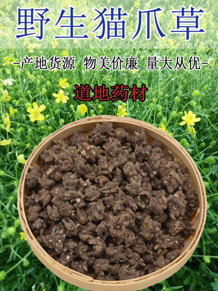 【官方旗舰】猫爪草新货 猫抓草散结中药材猫瓜草淋巴500g克 图片色