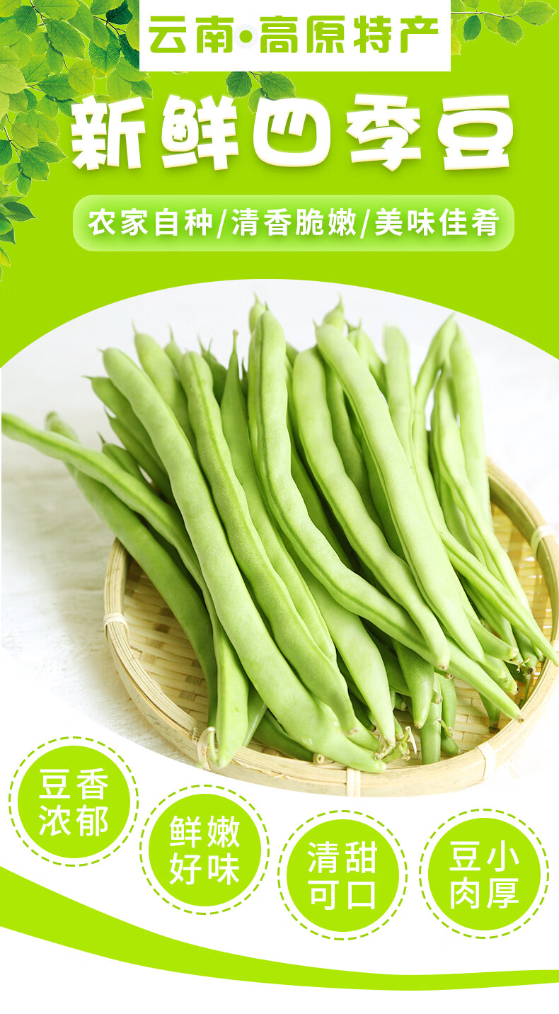 云南新鲜四季豆5斤现摘豆角应季蔬菜鲜嫩芸豆扁豆青豆角整箱批发3斤带