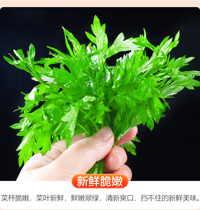 江西新鲜艾草叶3斤当季蔬菜艾蒿艾叶糍粑艾粄生艾草清明青团500g