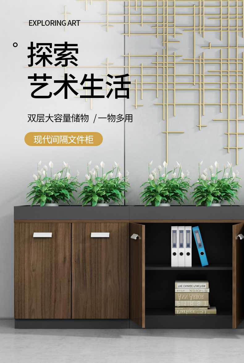美轩戈办公室办公柜子花槽柜子展示柜隔断柜办公柜文件柜矮柜储物柜资料柜矮柜子 800*400*950高2门