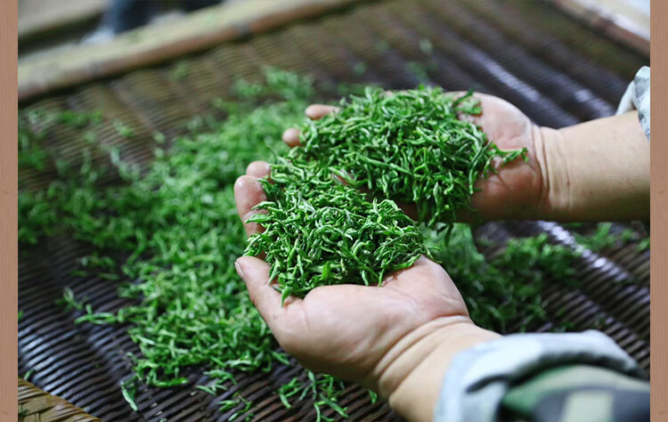 富溪2021新茶叶明前特级手工揉捻毛尖绿茶250g